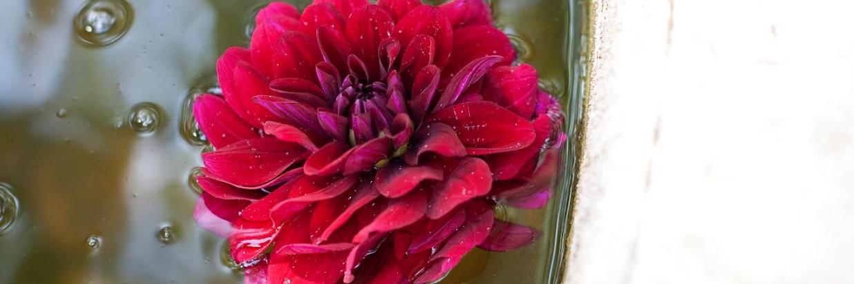 lobby-hero-full-1400x500